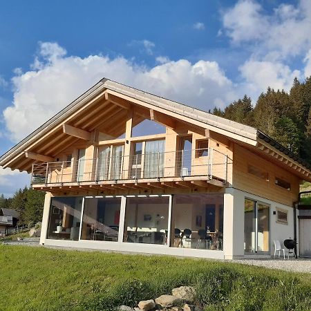 Alpine Dream Chalet With Spa Close To Lake Geneva Les Mosses Buitenkant foto