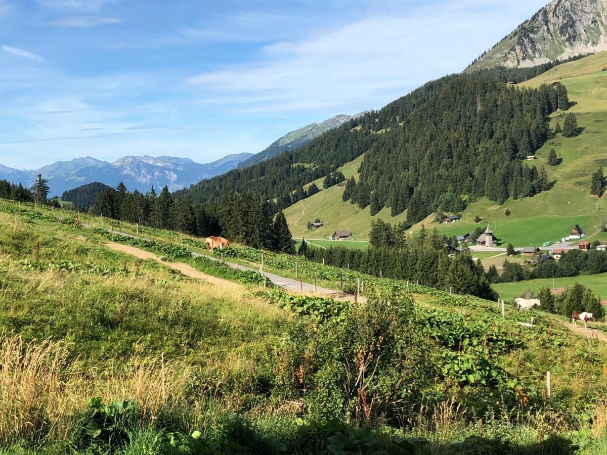 Alpine Dream Chalet With Spa Close To Lake Geneva Les Mosses Buitenkant foto