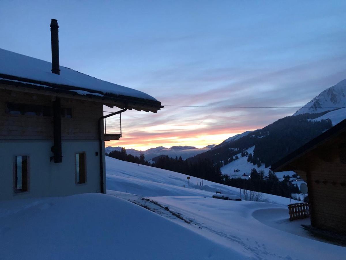 Alpine Dream Chalet With Spa Close To Lake Geneva Les Mosses Buitenkant foto