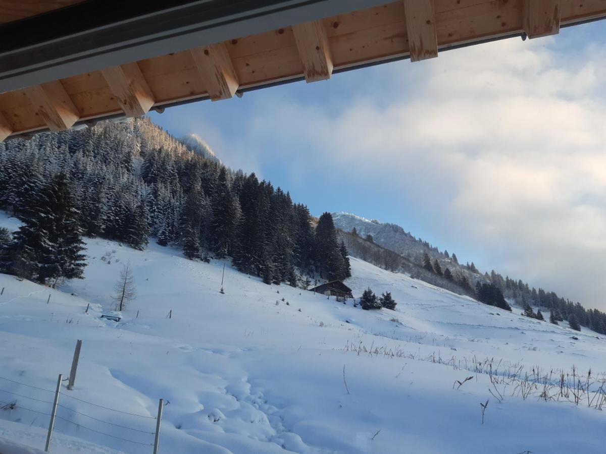 Alpine Dream Chalet With Spa Close To Lake Geneva Les Mosses Buitenkant foto